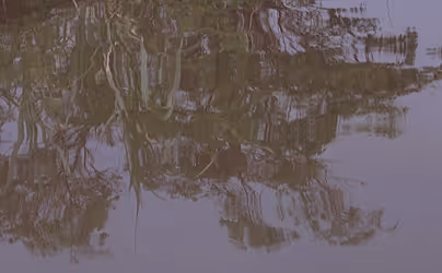 loading img