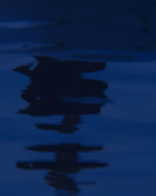loading img